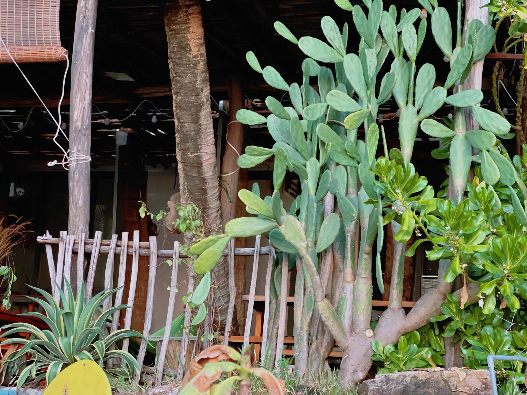 Soho 1 Phu Quoc Apartment Exterior foto